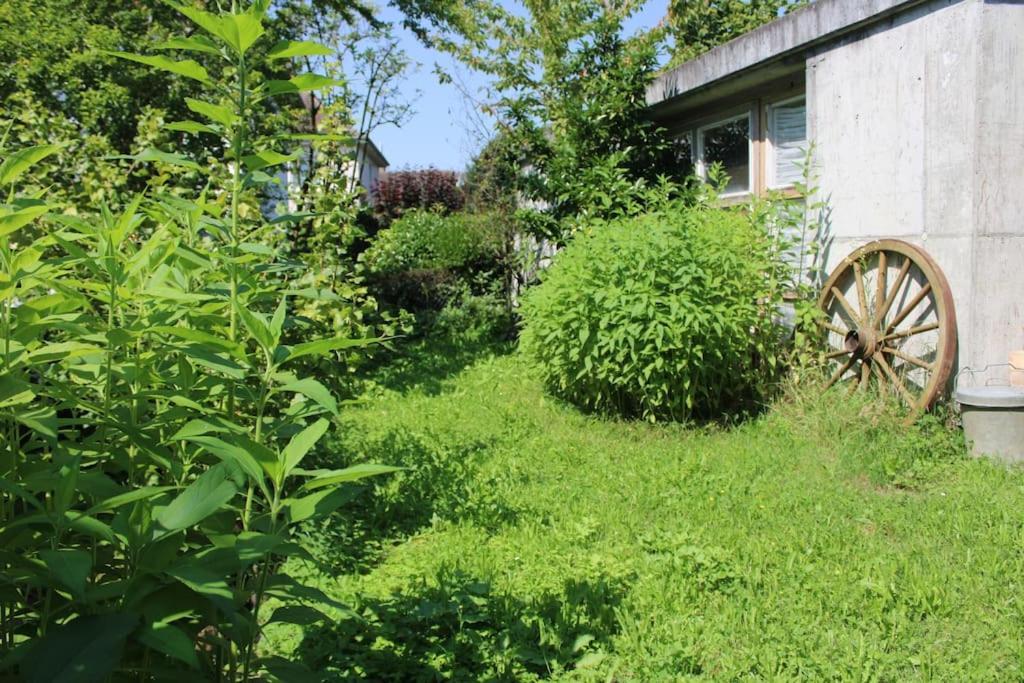 Erholung Mit Seesicht, Terrasse Und Garten Uberlingen Exterior photo